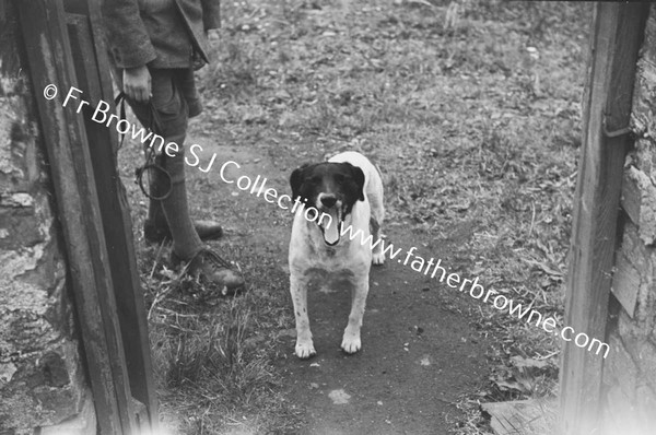 BOY PLAYING WITH DOG